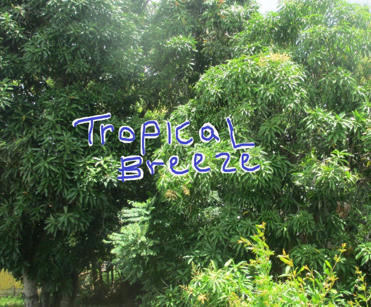Tropical Breeze Vacation Home And Apartments Gros Islet Ngoại thất bức ảnh